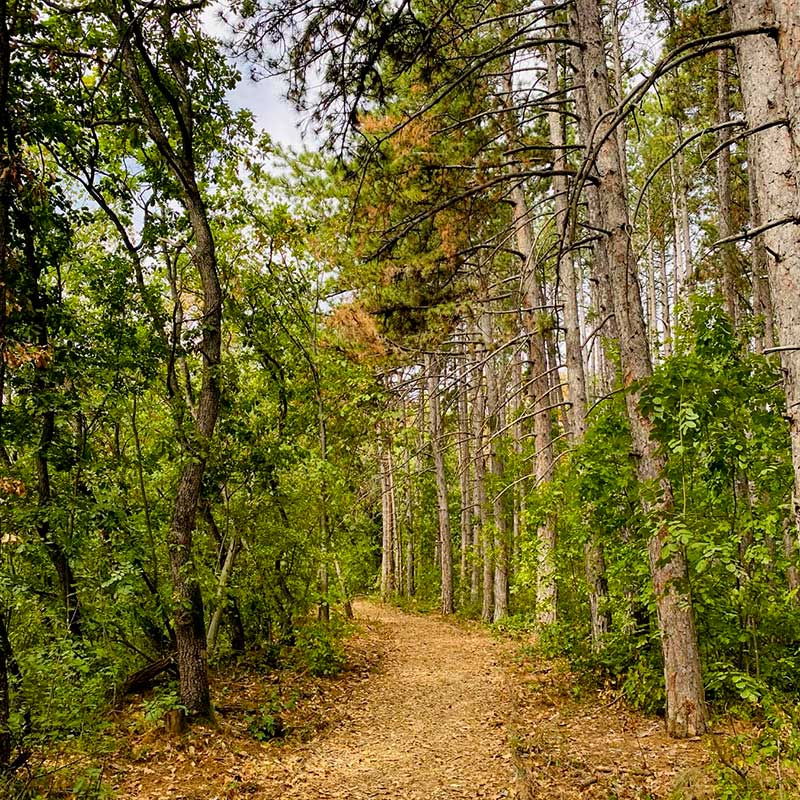 Obnova kognitivne energije i fokusa romantična Fruška gora vikend za dvoje u prirodi