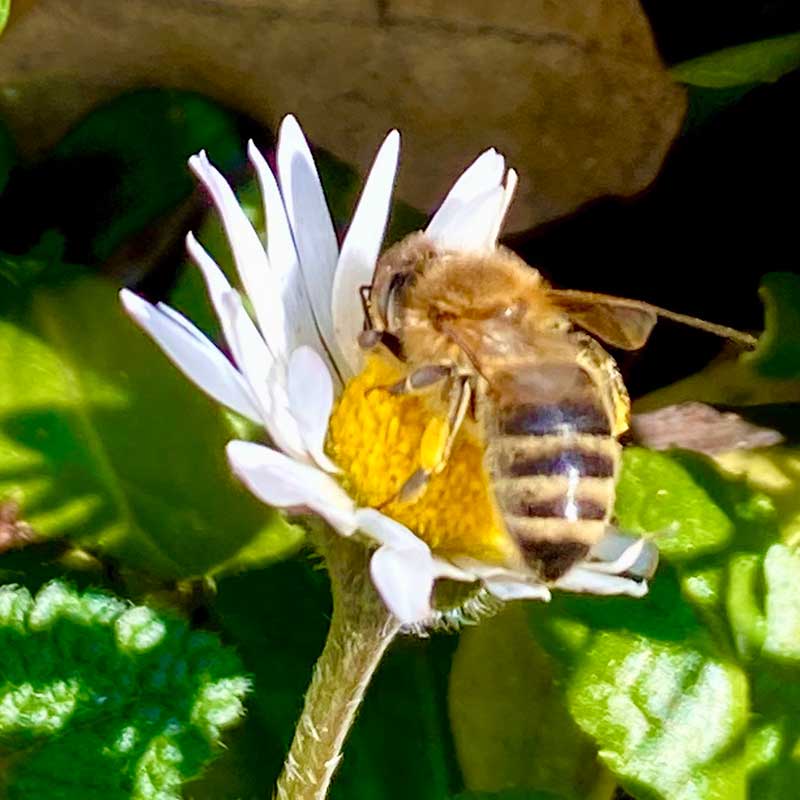 Regulacija cirkadijalnog ritma i melatonina romantična Fruška gora vikend za dvoje u prirodi